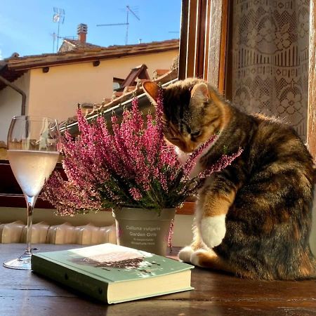 Casa Letizia Villa Castiglion Fiorentino Bagian luar foto