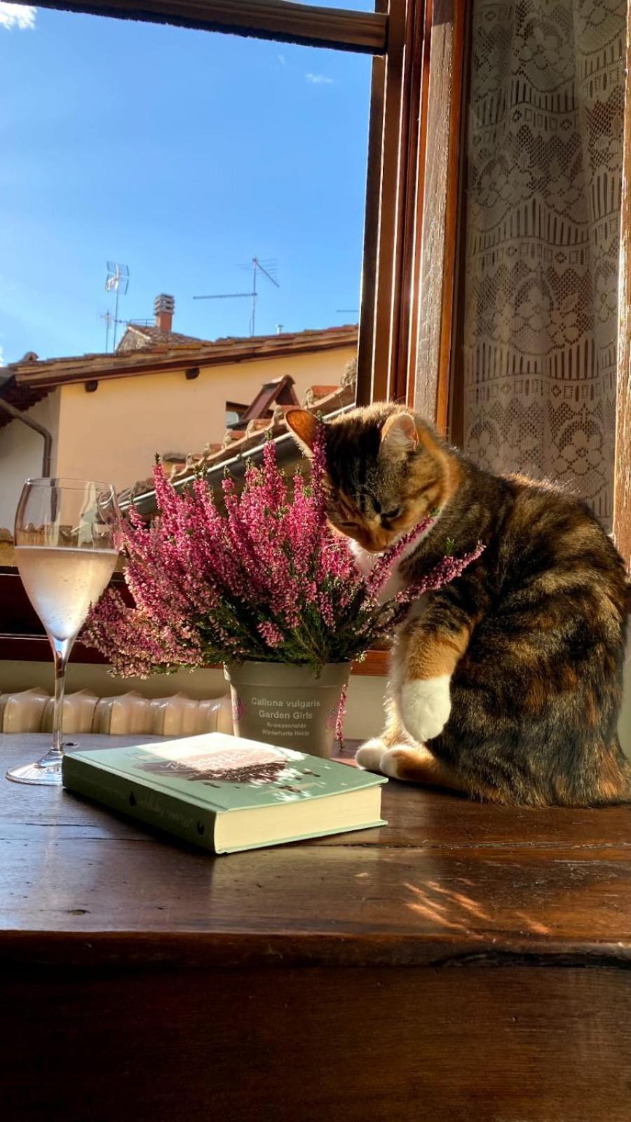 Casa Letizia Villa Castiglion Fiorentino Bagian luar foto